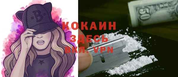 хмурый Каменногорск
