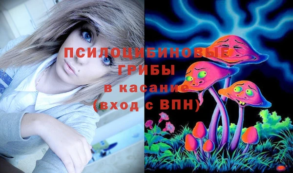 хмурый Каменногорск