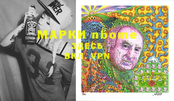 хмурый Каменногорск