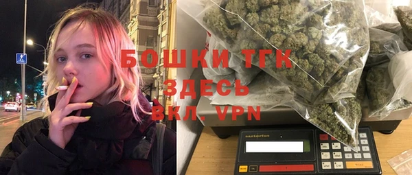 хмурый Каменногорск