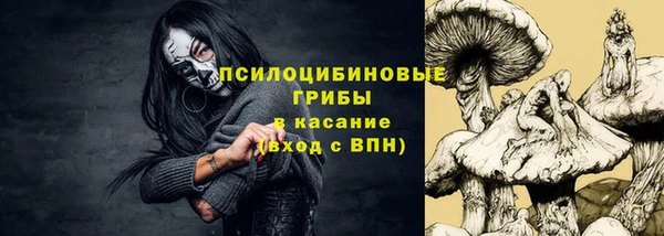 хмурый Каменногорск