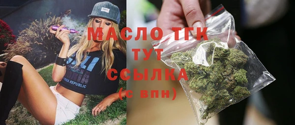 хмурый Каменногорск