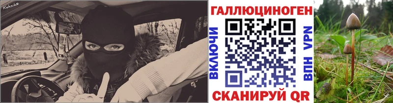 Купить закладки  Березники  Псилоцибиновые грибы Cubensis 